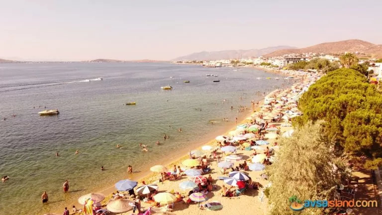 Kocaeli Gebze’den Avşa Adası’na Nasıl Gidilir?