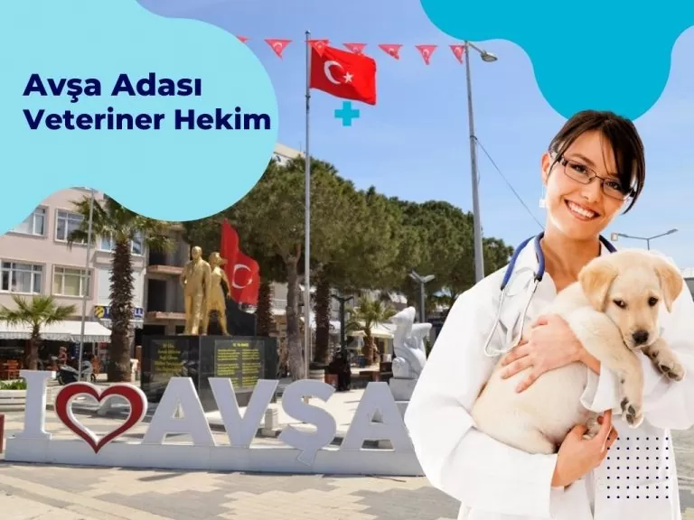 Avşa Adası’nda Veteriner Kliniği Var mı?