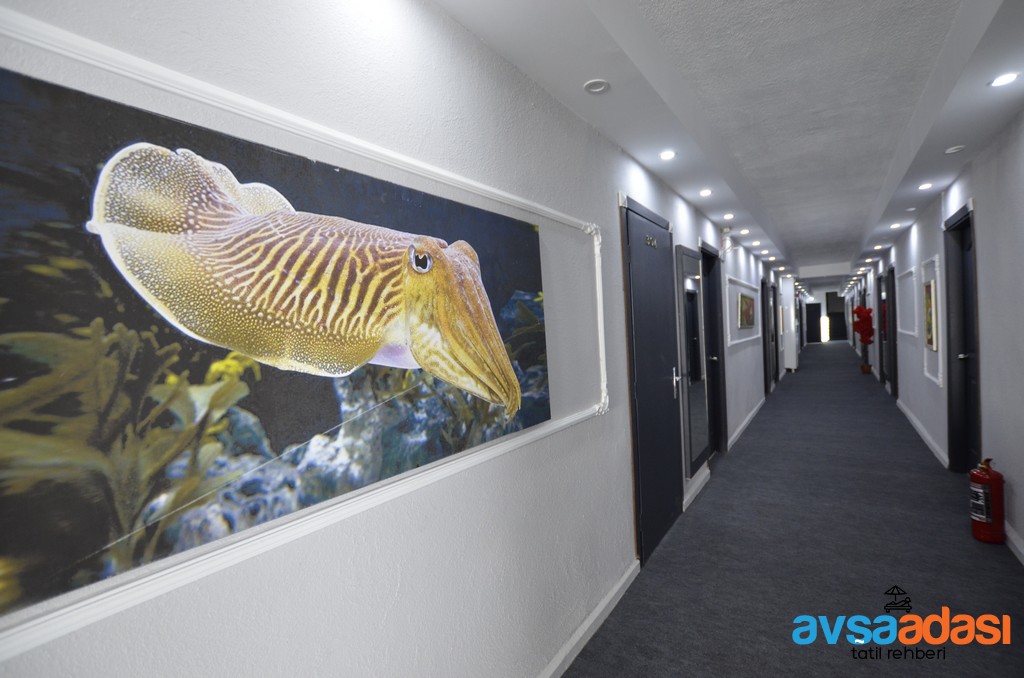 Grand Avşa Beach Otel