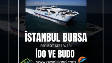 istanbul-bursa-feribot-seferleri-390x220  