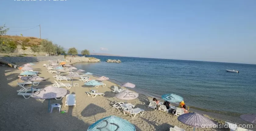 Avşa Adası Karadut Plajı Koyu