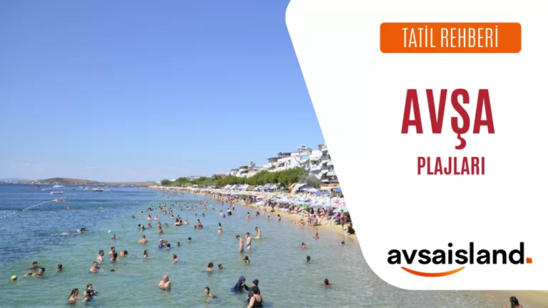 Avşa Adası Koyları ve Plajları (2026 Yazında Denize Girilen En İyi 10 Halk Plajı)