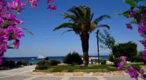 Avşa Adası’nda Apart Tatili Yapmak İsteyenler İçin Detaylı Rehber