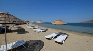 İlk Kez Avşa Adası’na Gidecekler İçin Profesyonel Apart Seçme Rehberi 2026