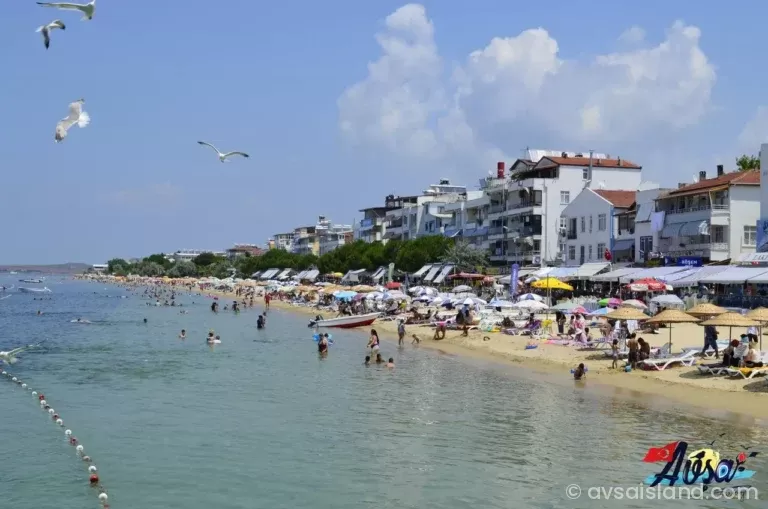 Avşa Adası Gezi Rehberi 2026